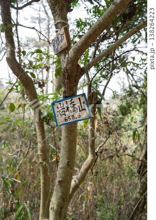 岩橋山の山頂(金剛生駒紀泉国定公園) 岩橋山の山頂(金剛生駒紀泉国定公園) 138264223