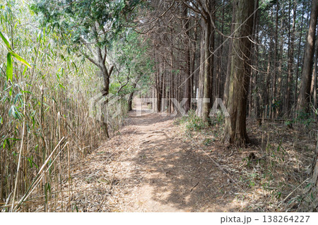 岩橋山から平石峠へ向かう登山道（金剛生駒紀泉国定公園） 138264227