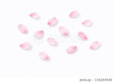 春の花びらのミニマルフラットレイ 138264936