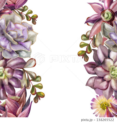Rosette echeveria, sedum succulents, araucaria segments, money plant branches, flowering cacti hand painted in watercolor. Seamless banner hand drawn in watercolor. Social media cover, lifestyle blog. Rosette echeveria, sedum succulents, araucaria segments, money plant branches, flowering cacti hand painted in watercolor. Seamless banner hand drawn in watercolor. Social media cover, lifestyle blog. 138265522