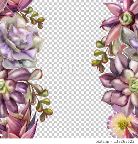 Rosette echeveria, sedum succulents, araucaria segments, money plant branches, flowering cacti hand painted in watercolor. Seamless banner hand drawn in watercolor. Social media cover, lifestyle blog. Rosette echeveria, sedum succulents, araucaria segments, money plant branches, flowering cacti hand painted in watercolor. Seamless banner hand drawn in watercolor. Social media cover, lifestyle blog. 138265522