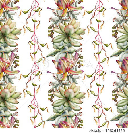 Watercolor seamless pattern with striped rows of rosette succulents and creeping exotic bromeliad vines. Isolated illustration hand drawn for fabric printing, nursery decor, eco lifestyle branding 138265526