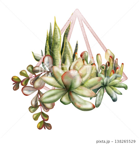 Geometric wire planter, copper or brass metal frame terrarium with rosette succulents, sansevieria, money plant branches. Isolated illustration hand drawn in watercolor. Dsign studios, product seals. 138265529