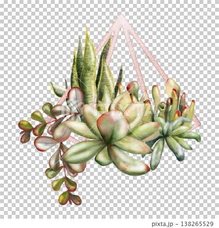 Geometric wire planter, copper or brass metal frame terrarium with rosette succulents, sansevieria, money plant branches. Isolated illustration hand drawn in watercolor. Dsign studios, product seals. 138265529