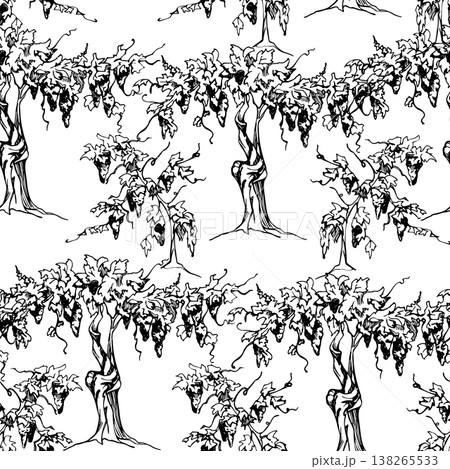 Repeating vineyard landscape rows of grapevine leafy vines with grape berry clusters on trunks with young creepers. Seamless ink pattern, hand drawn vector illustration. Textile design, wine packaging Repeating vineyard landscape rows of grapevine leafy vines with grape berry clusters on trunks with young creepers. Seamless ink pattern, hand drawn vector illustration. Textile design, wine packaging 138265533
