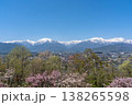 大町公園から見た春の北アルプスと桜の花（横） 138265598
