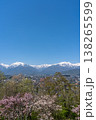 大町公園から見た春の北アルプスと桜の花（縦） 138265599