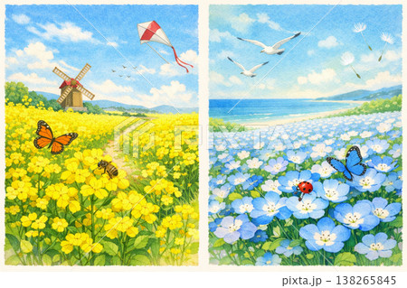 春の菜の花畑と海辺のネモフィラの水彩イラストセット 春の菜の花畑と海辺のネモフィラの水彩イラストセット 138265845