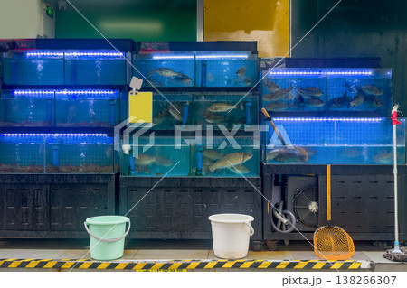 Fish market in Hong Kong. Fish swim calmly in stacked blue tanks. Fish market in Hong Kong. Fish swim calmly in stacked blue tanks. 138266307