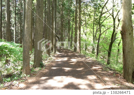 奥高尾縦走路 138266471
