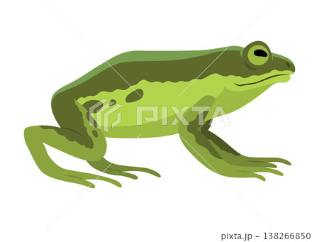 Frog jumping animation icon. Sequences or footage for motion design. Cartoon toad jumping, animal movement concept. Frog leap sequence, vector illustration 138266850