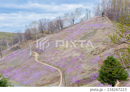 ひがしもこと芝桜公園 ひがしもこと芝桜公園 138267223