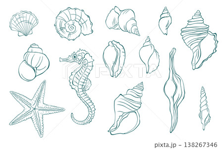 Hand drawn seashells and starfish collection, marine sketch illustration set 138267346