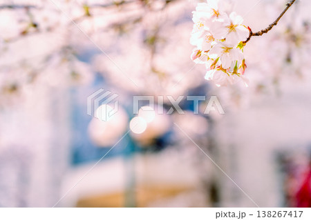 桜のある風景 桜のある風景 138267417