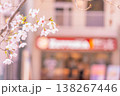 桜と店 138267446