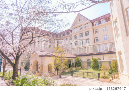 桜が咲く旧市街の風景 桜が咲く旧市街の風景 138267447
