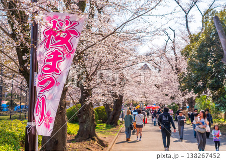 八王子市 桜祭り 富士森公園 八王子市 桜祭り 富士森公園 138267452