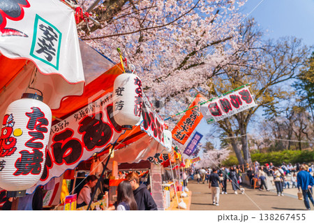 八王子市　桜祭り　富士森公園 138267455