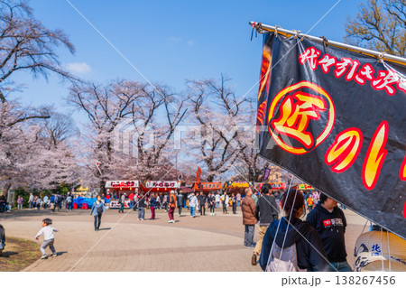 八王子市　桜祭り　富士森公園 138267456