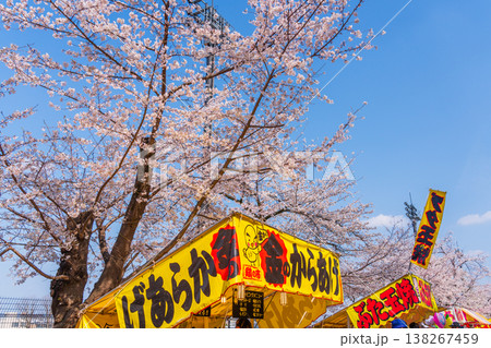 八王子市　桜祭り　富士森公園 138267459