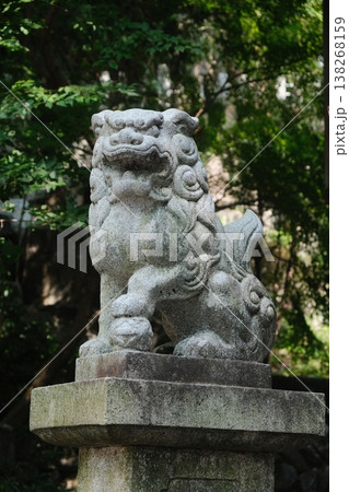 Ancient Stone Dragon Head Sculpture Detail 138268159