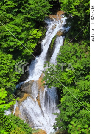 【栃木県】新緑の霧降の滝 【栃木県】新緑の霧降の滝 138268260