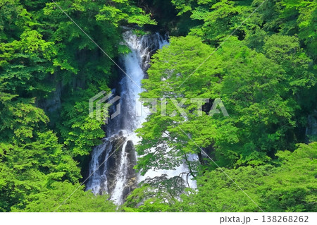 【栃木県】新緑の霧降の滝 138268262