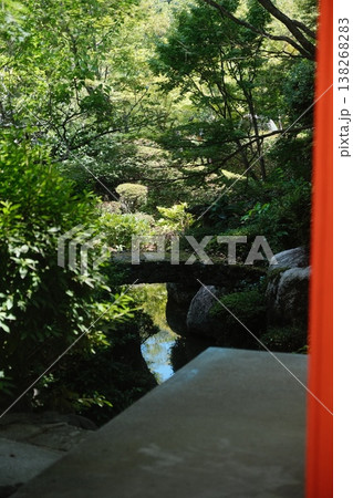 Green Forest View Through Stone Archway 138268283