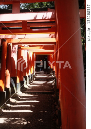 Fushimi Inari Shrine Torii Gate Pathway Fushimi Inari Shrine Torii Gate Pathway 138268537