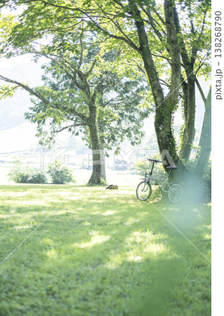 新緑・初夏のサイクリングイメージ(大山鏡ヶ成) 新緑・初夏のサイクリングイメージ(大山鏡ヶ成) 138268790