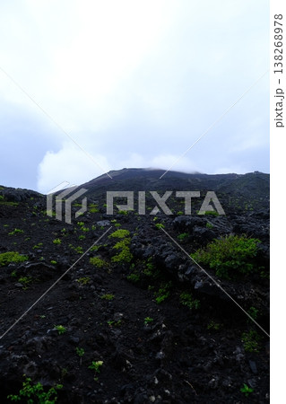 Dark Rock Face With Emerging Green Life 138268978