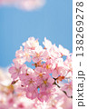 春の訪れを感じるピンクの桜の花と澄み渡る青空 138269278