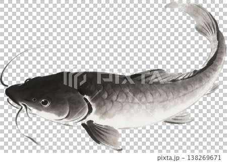 A sumi-e (ink painting) of a carp: A dynamic, Japanese-style illustration. 138269671
