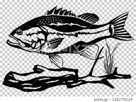 兇猛的黑鱸什麼都吃——是本地物種的天敵(剪紙拼貼插圖) 兇猛的黑鱸什麼都吃——是本地物種的天敵(剪紙拼貼插圖) 138270224