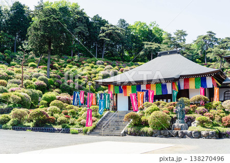 塩船観音寺とツツジが彩る春の花風景 塩船観音寺とツツジが彩る春の花風景 138270496