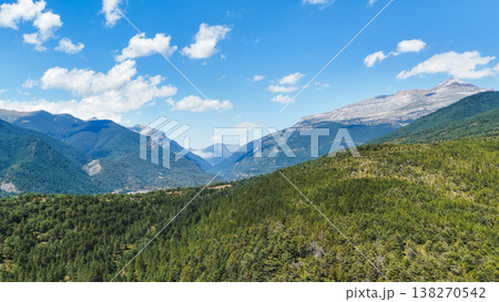 Pyrenees mountains landscape with vast forest valley 138270542