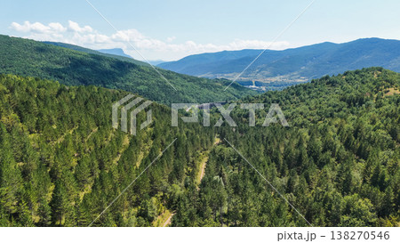 Lush green forest covering mountains and valley 138270546