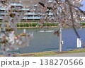 戸田漕艇場の桜 138270566