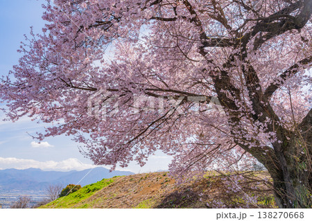（山梨県）道祖神の桜が満開　山並みの向こうに富士山 138270668