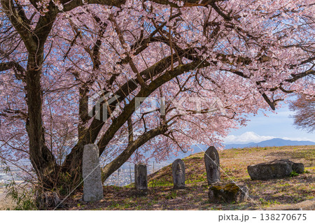 （山梨県）道祖神の桜が満開　山並みの向こうに富士山 138270675