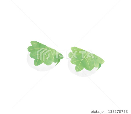 柏餅 2個 水彩 かわいい デフォルメ 和菓子 こどもの日 端午の節句 食べ物 白バック 挿絵 柏餅 2個 水彩 かわいい デフォルメ 和菓子 こどもの日 端午の節句 食べ物 白バック 挿絵 138270758