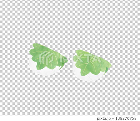 柏餅 2個 水彩 かわいい デフォルメ 和菓子 こどもの日 端午の節句 食べ物 白バック 挿絵 柏餅 2個 水彩 かわいい デフォルメ 和菓子 こどもの日 端午の節句 食べ物 白バック 挿絵 138270758