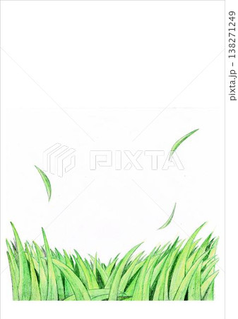 草　イラスト　背景 138271249