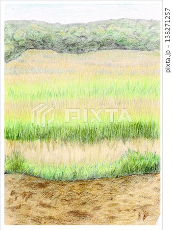 草原 イラスト 背景 草原 イラスト 背景 138271257