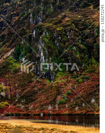 Rugged mountain slope covered in vibrant green moss and rust-colored bracken reflected in still water. Rugged mountain slope covered in vibrant green moss and rust-colored bracken reflected in still water. 138272245