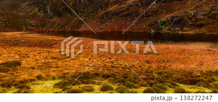 An expansive autumn moorland, vibrant with orange and green hues, meets a serene, dark loch. An expansive autumn moorland, vibrant with orange and green hues, meets a serene, dark loch. 138272247