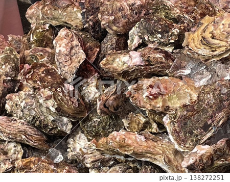 大盛、岩牡蠣 大盛、岩牡蠣 138272251