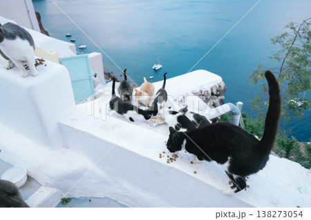 サントリーニ島でするバカンス サントリーニ島でするバカンス 138273054