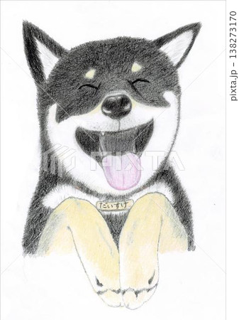柴犬 イラスト 柴犬 イラスト 138273170