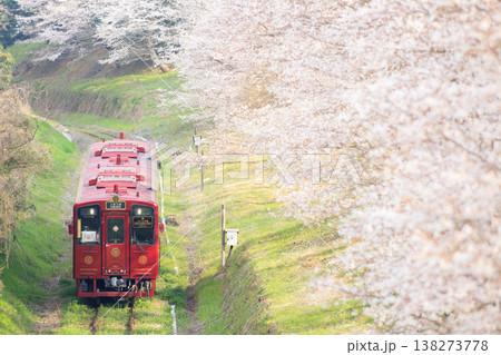 桜並木と「ことこと列車」（平成筑豊鉄道） 138273778